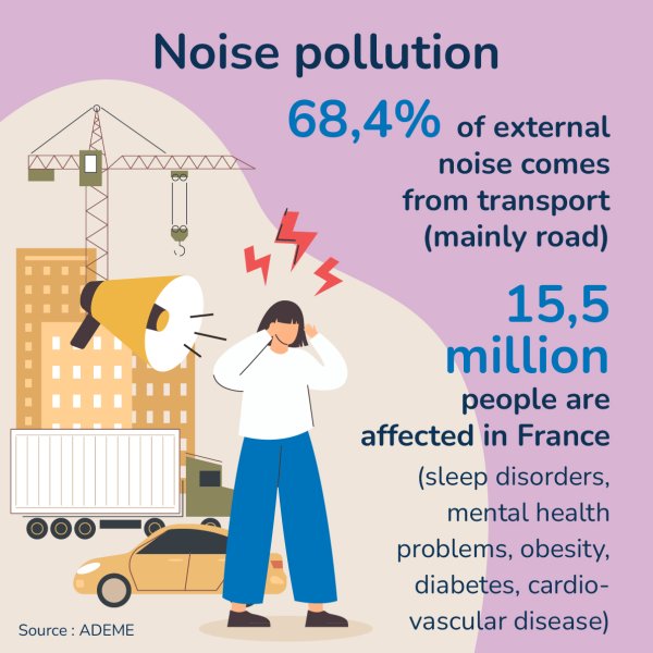 Why change our behaviour - noise pollution